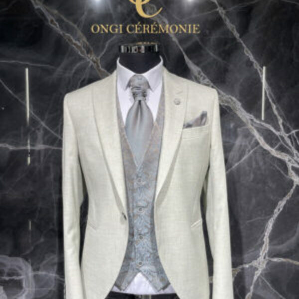 Costume gris 1093