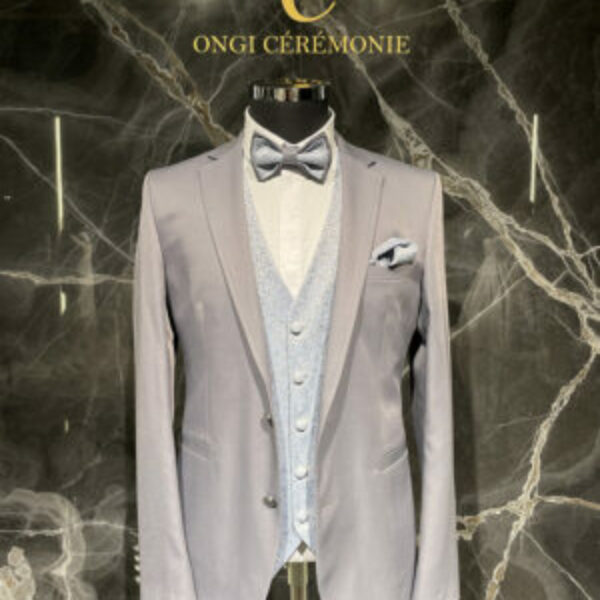 Costume gris 3189